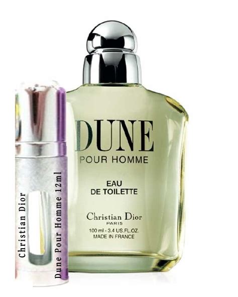 what does christian dior dune smell like